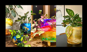 Rainbow and ocean inspired premium plant pots and designer home decor 