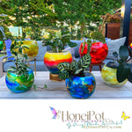 spectacular round shaped plant pots in alfresco setting in bright yellows, blues, greens and oranges