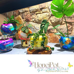 Caribbean Jewel Heist SM Moon Pots