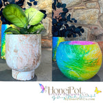 Rainbow Dream LRG Moon Pots