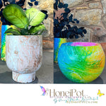 Ripple & Patch Autumn Bling Cupcake Planters