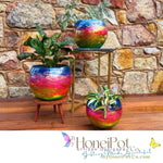 Rio Carnival XO SM Moon Pots