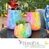 Ripple & Patch Rainbow Dream Belli Pots