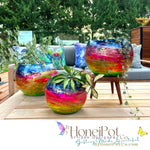 Rio Carnival XO LRG Moon Pots