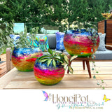 Rio Carnival XO SM Moon Pots