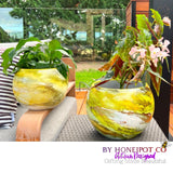 captivating yellow alcohol ink moon shaped planters in small and large displaying begonias and peace lilies in outdoor setting