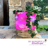 Midnight Pink Escapades Timber Base Planters