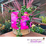 Midnight Pink Escapades Timber Base Planters