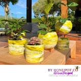 Bahamas LRG Moon Pots