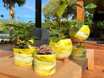 Bahamas SM Moon Pots