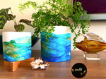 Lo-Kei in Capri Cylinder Pots