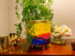 indoor rainbow plant pot for home beautiful interiors