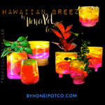Hawaiian Breeze Cylinder Pots