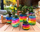 Rio Carnival XO Cylinder Pots