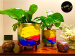 best indoor plant pot planter hand painted in rainbow boho chic designer decor 
