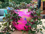 Midnight Pink Escapades LRG Moon Pot