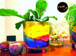 Best Rainbow indoor plant pot or planter