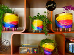 Best Rainbow indoor plant pot or planter