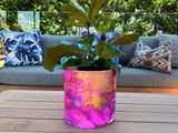 Midnight Pink Escapades Cylinder Pots