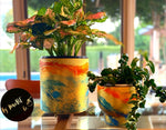 Grace of Monaco Cylinder Pots